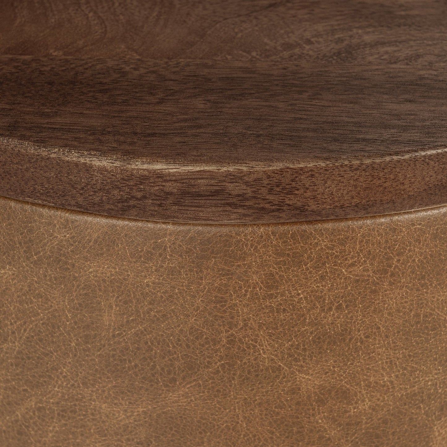 Tan Top Grain Leather Accent & End Table Andra Accent Table Collection