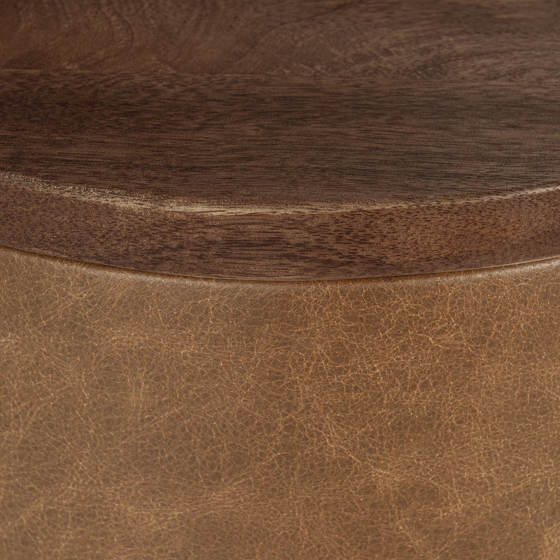 Tan Top Grain Leather Accent & End Table Andra Accent Table Collection