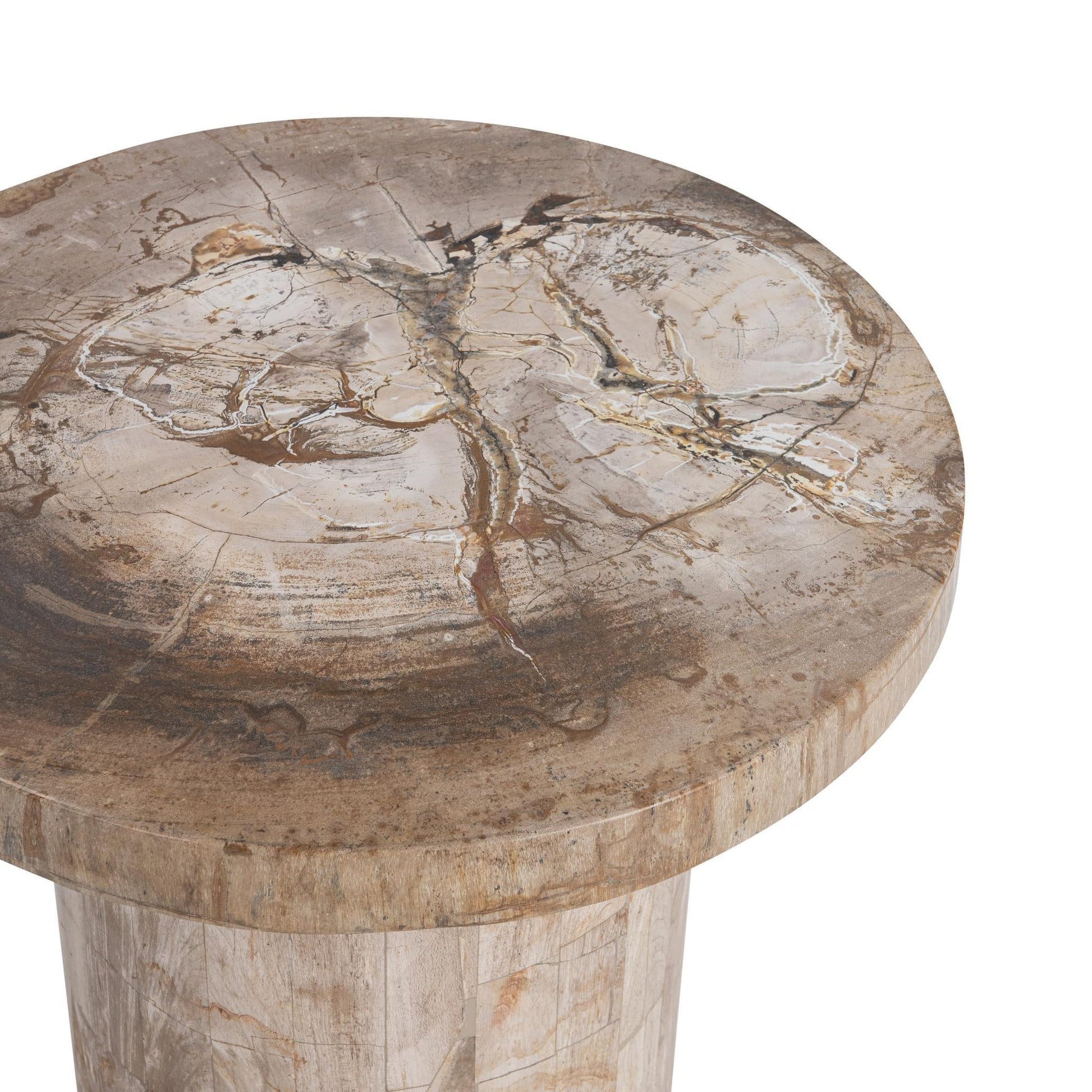 Sepia Vein Petrified Wood Accent & End Table Janelle Accent Table Collection