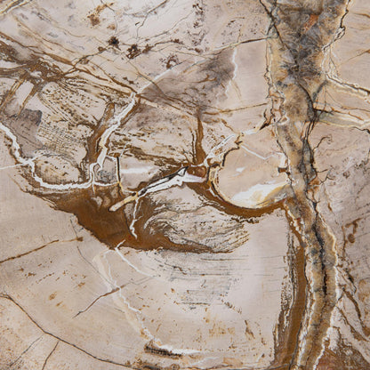 Sepia Vein Petrified Wood Accent & End Table Janelle Accent Table Collection