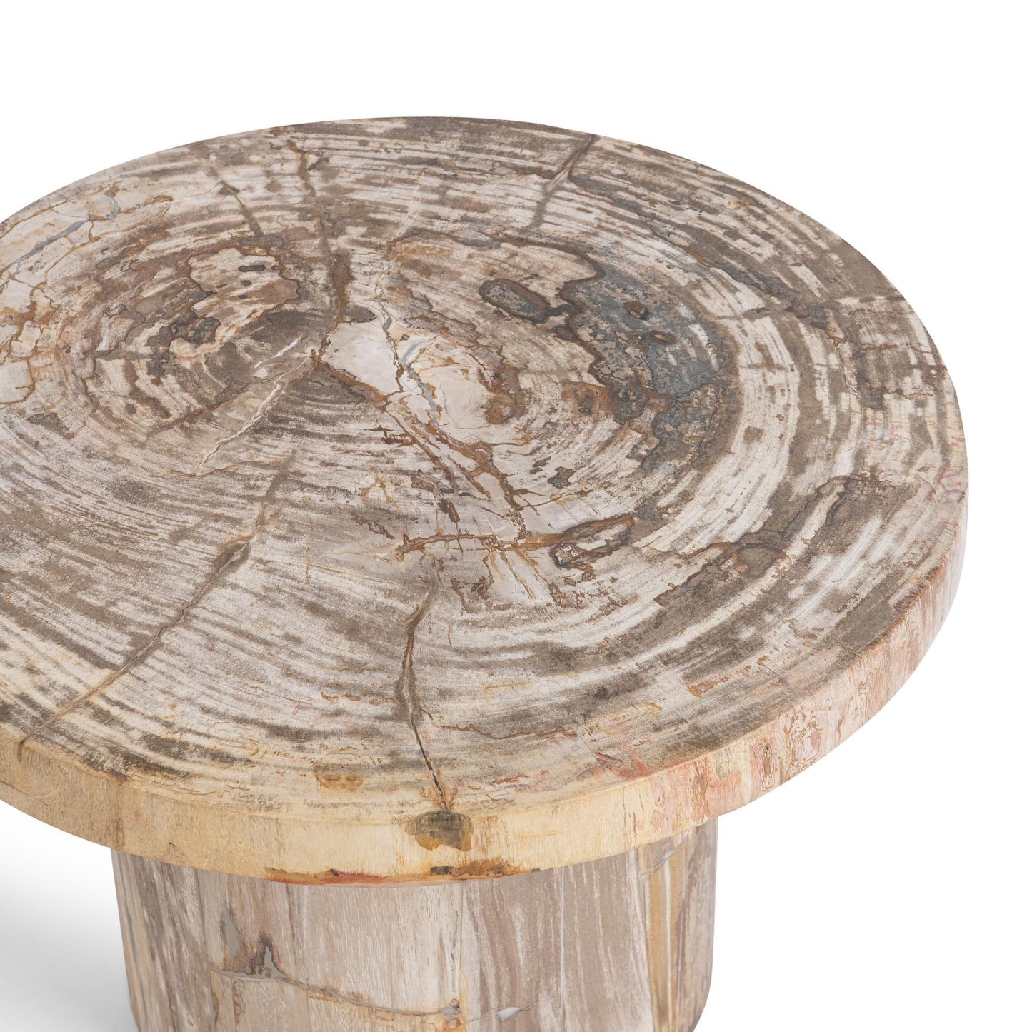 Sepia Vein Petrified Wood Accent & End Table Janelle Accent Table Collection