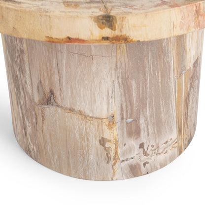 Sepia Vein Petrified Wood Accent & End Table Janelle Accent Table Collection