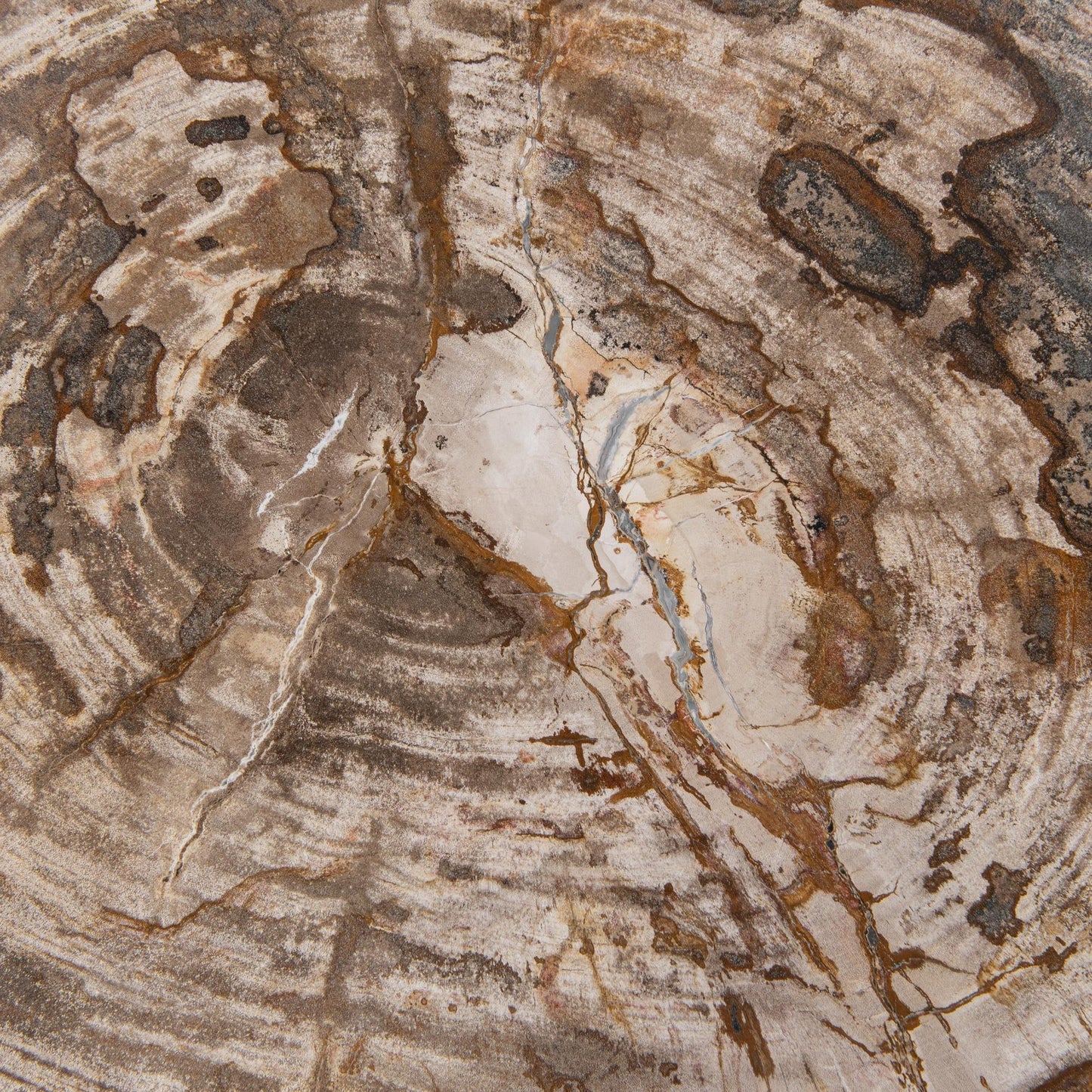 Sepia Vein Petrified Wood Accent & End Table Janelle Accent Table Collection