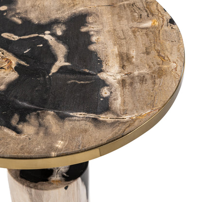 Molten Husk Petrified Wood Accent & End Table Jordyn Accent Table Collection