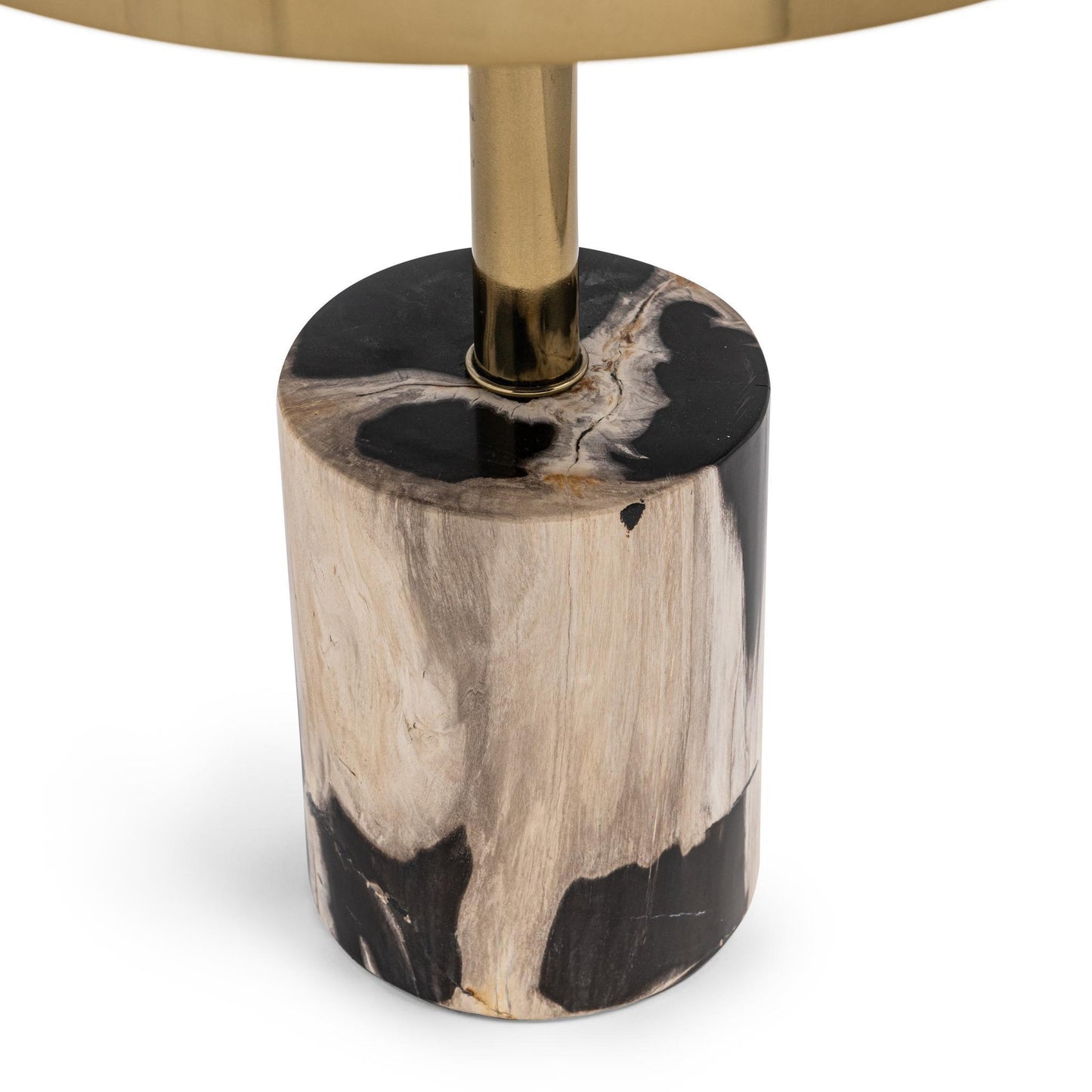 Molten Husk Petrified Wood Accent & End Table Jordyn Accent Table Collection
