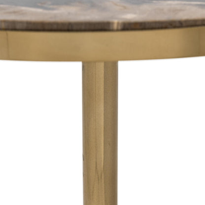 Molten Husk Petrified Wood Accent & End Table Jordyn Accent Table Collection