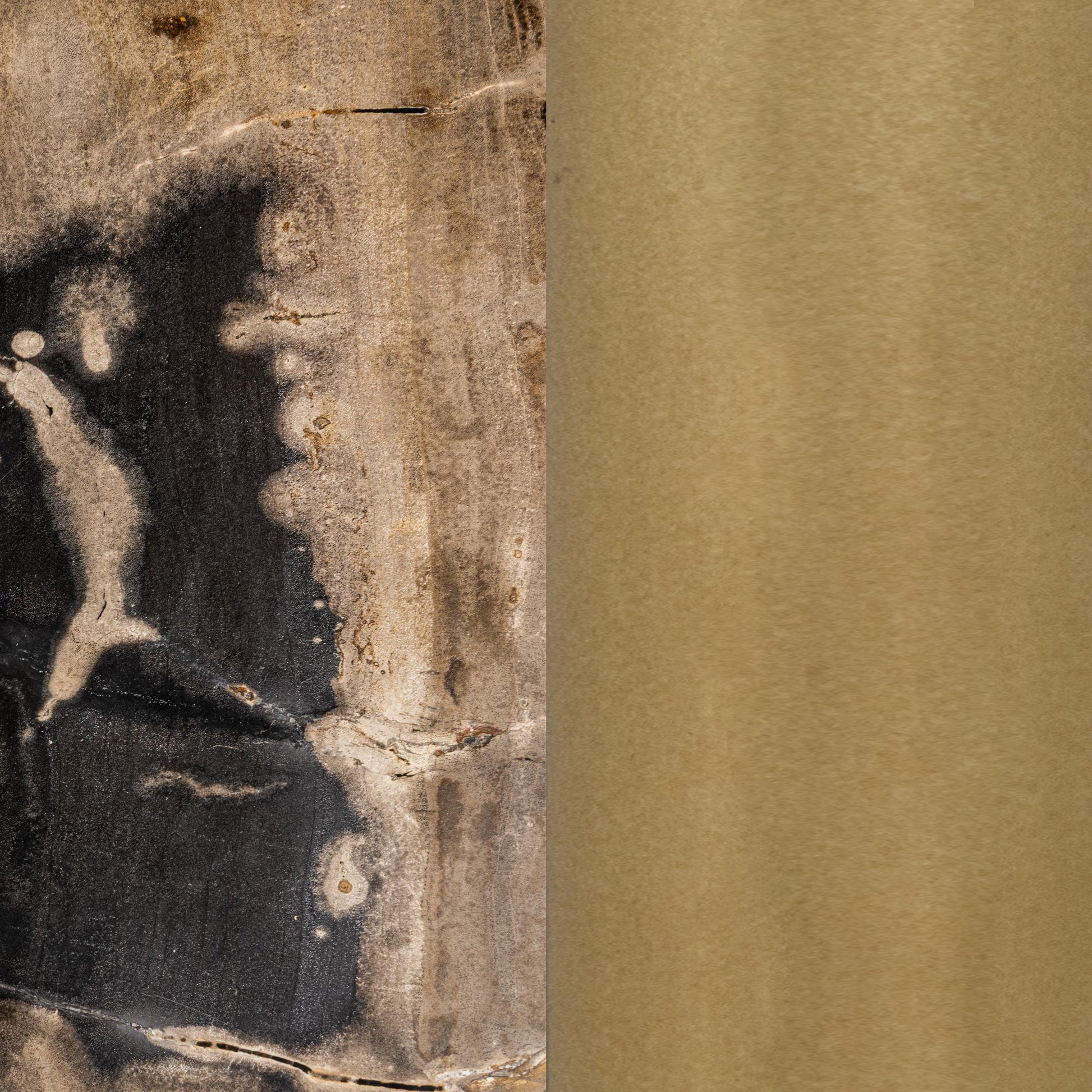 Molten Husk Petrified Wood Accent & End Table Jordyn Accent Table Collection