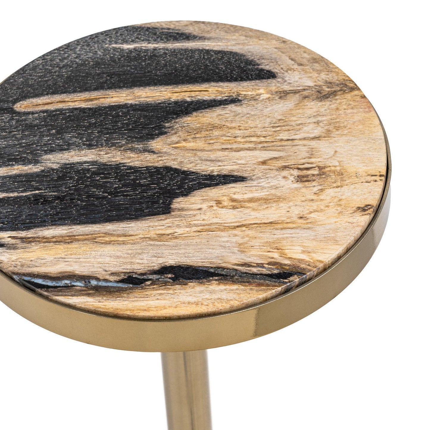 Molten Husk Petrified Wood Accent & End Table Jordyn Accent Table Collection
