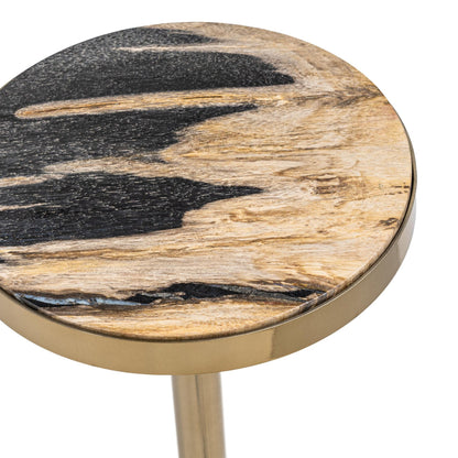 Molten Husk Petrified Wood Accent & End Table Jordyn Accent Table Collection