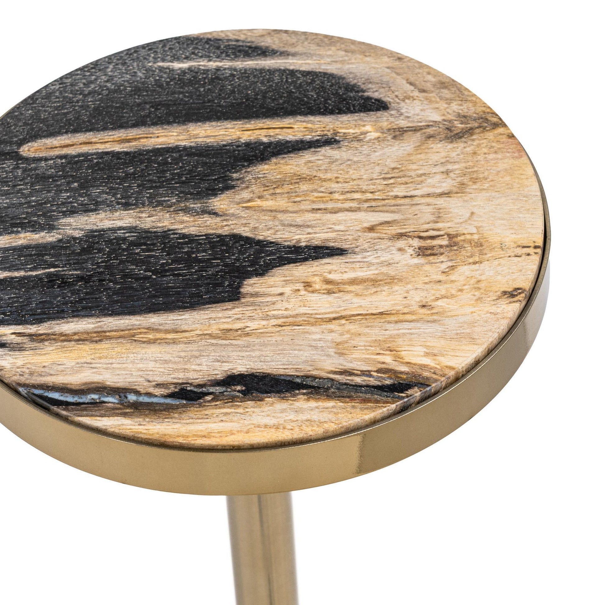 Molten Husk Petrified Wood Accent & End Table Jordyn Accent Table Collection
