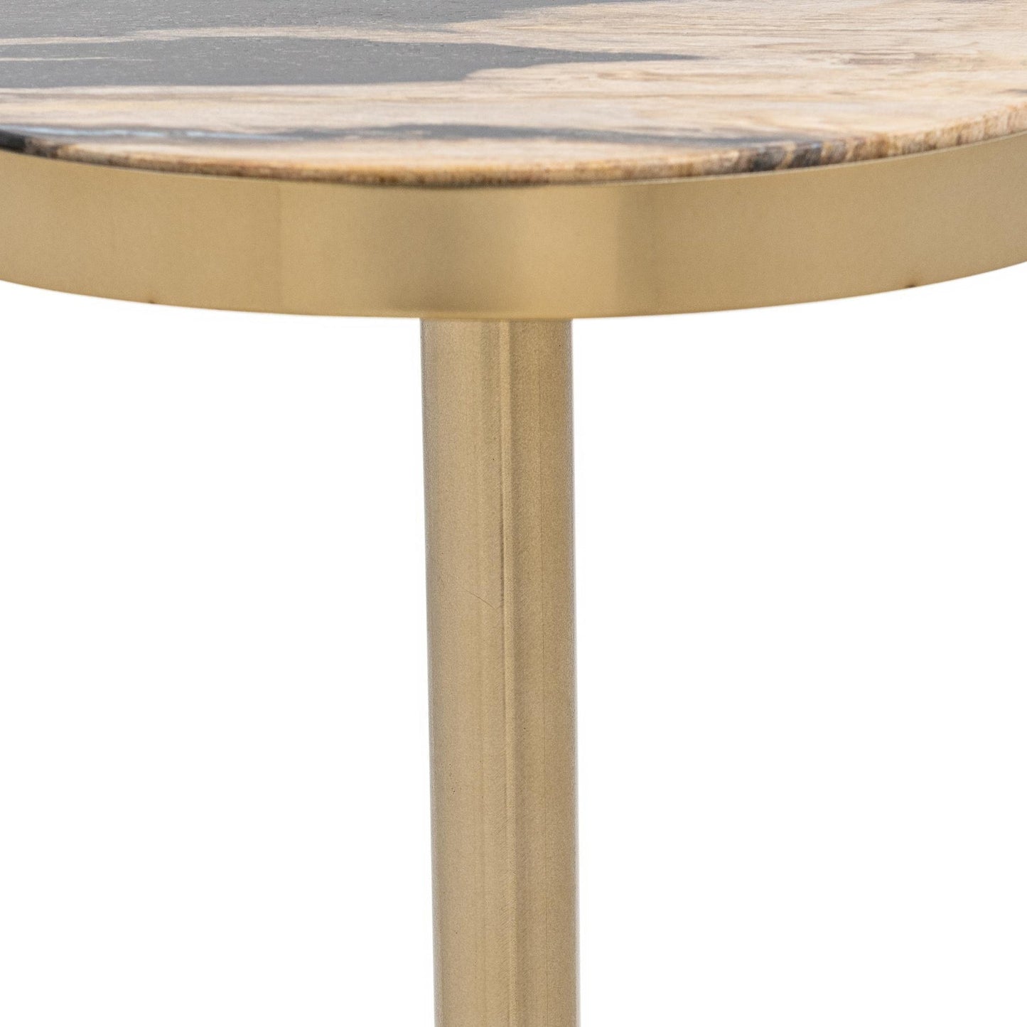 Molten Husk Petrified Wood Accent & End Table Jordyn Accent Table Collection