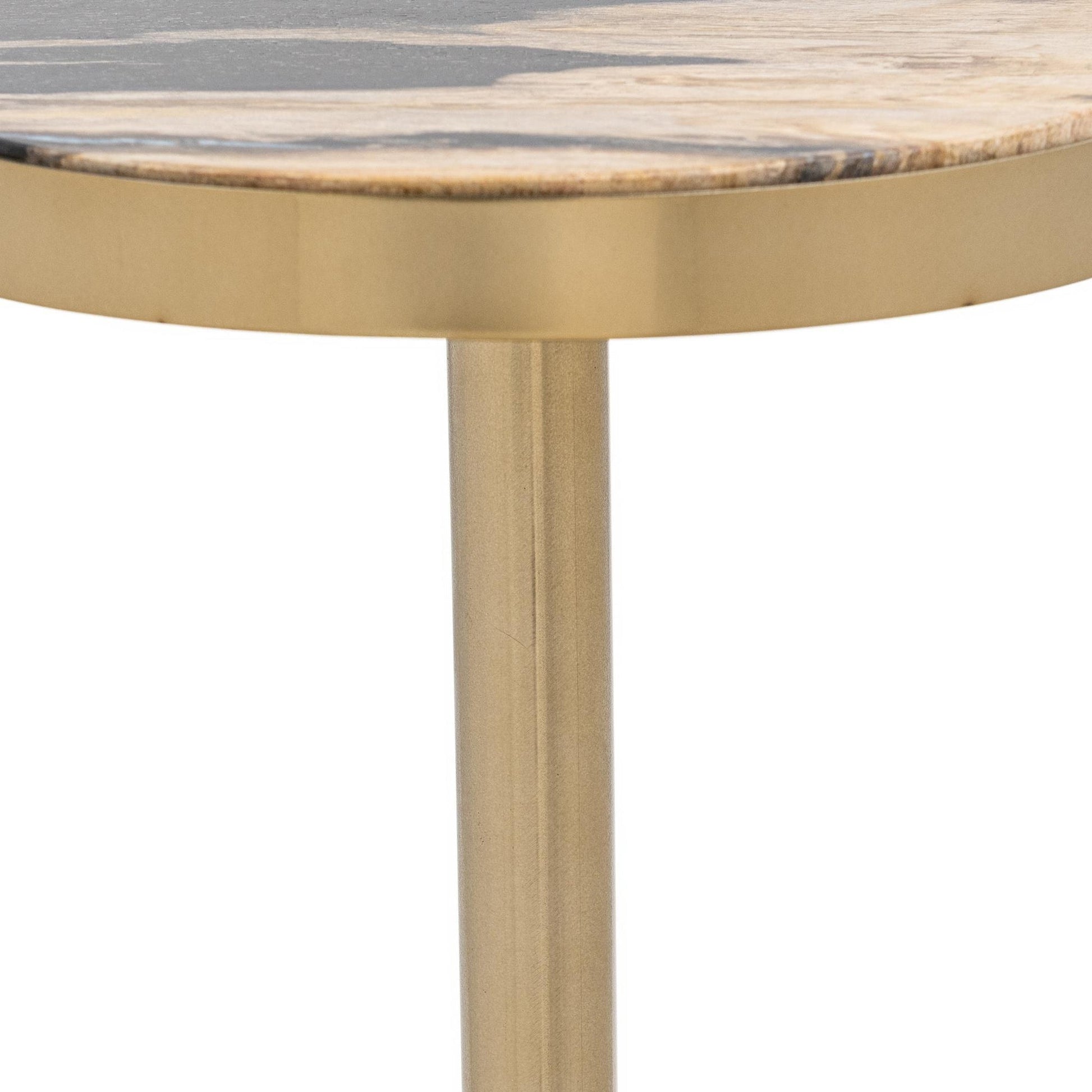 Molten Husk Petrified Wood Accent & End Table Jordyn Accent Table Collection