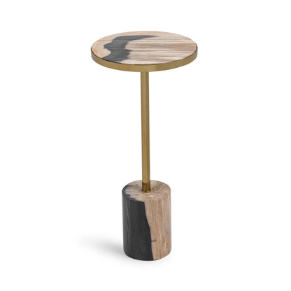 Molten Husk Petrified Wood Accent & End Table Jordyn Accent Table Collection
