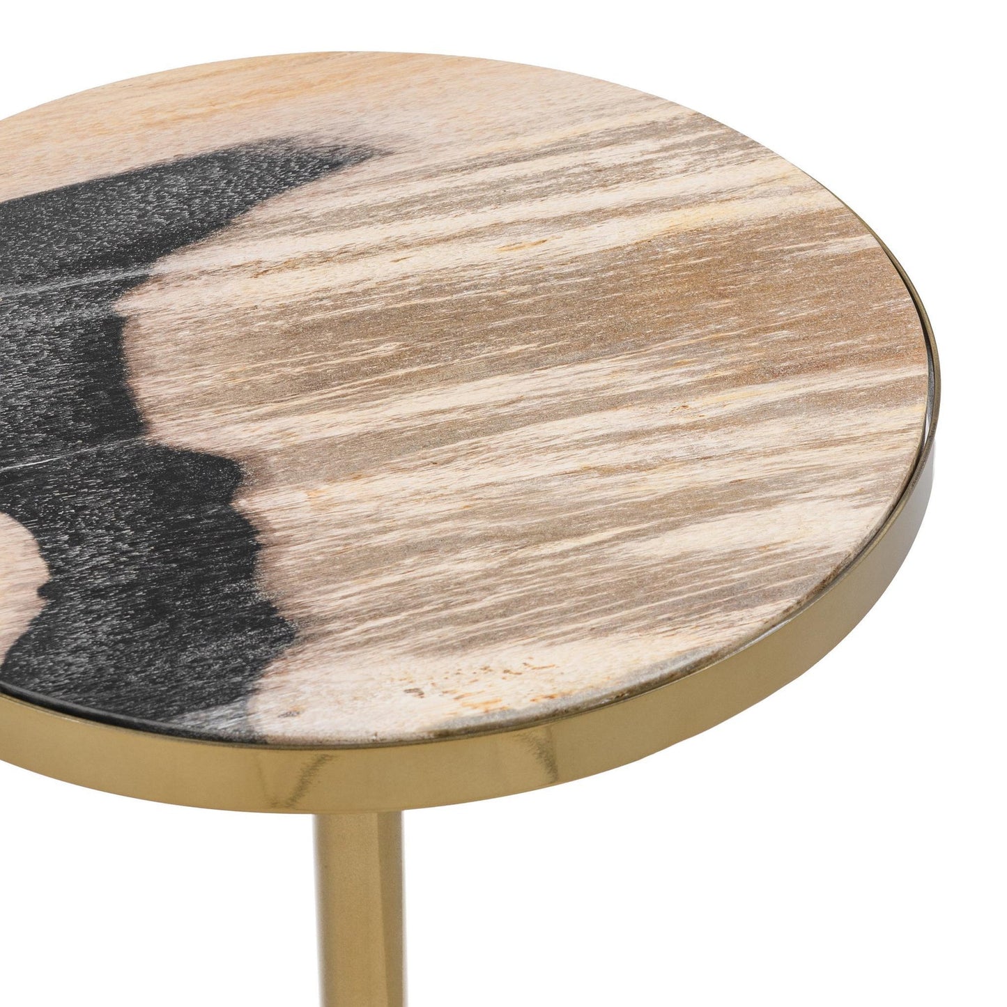 Molten Husk Petrified Wood Accent & End Table Jordyn Accent Table Collection
