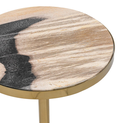 Molten Husk Petrified Wood Accent & End Table Jordyn Accent Table Collection
