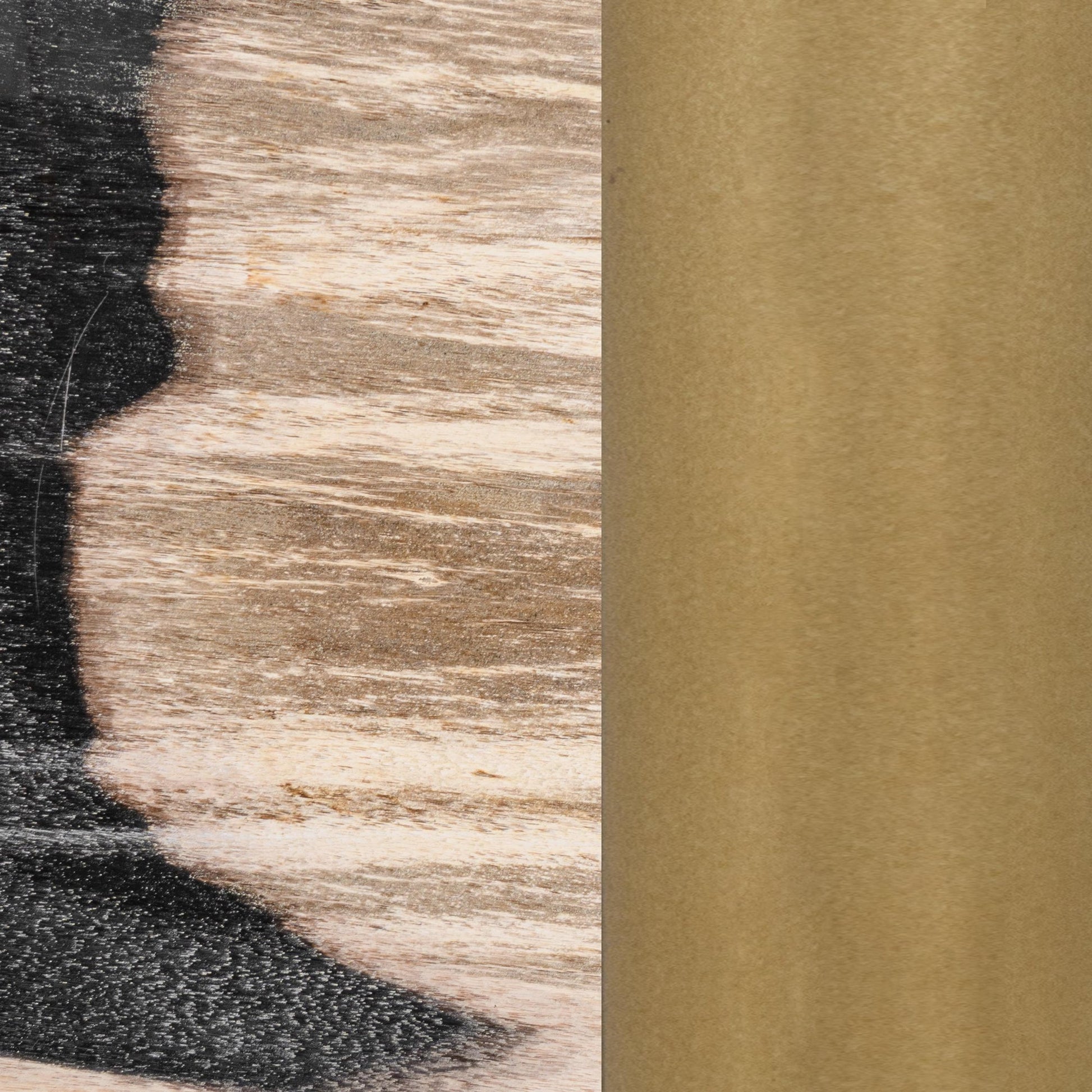Molten Husk Petrified Wood Accent & End Table Jordyn Accent Table Collection