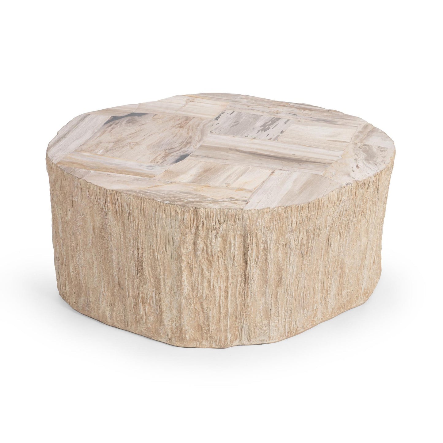 Coastal Birch Petrified Wood Coffee Table Messi Coffee Table Collection