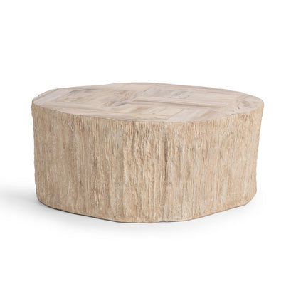 Coastal Birch Petrified Wood Coffee Table Messi Coffee Table Collection