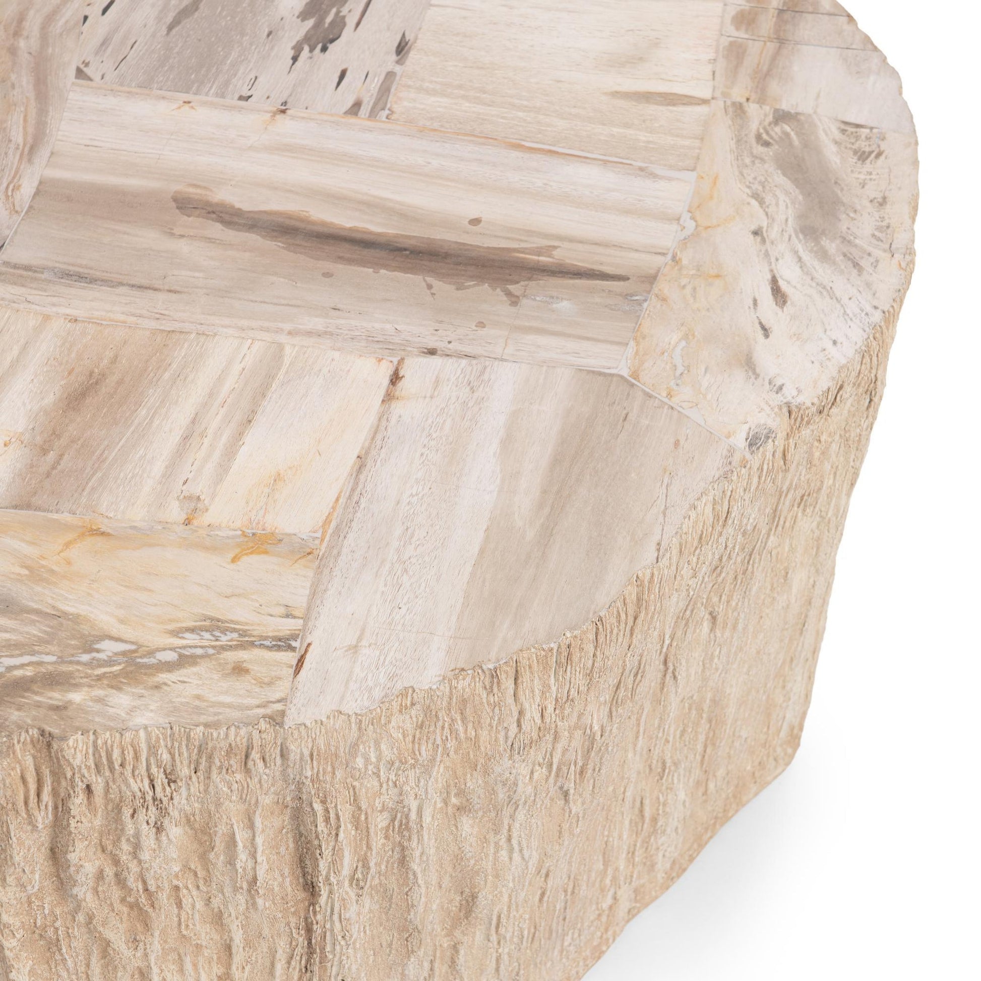 Coastal Birch Petrified Wood Coffee Table Messi Coffee Table Collection