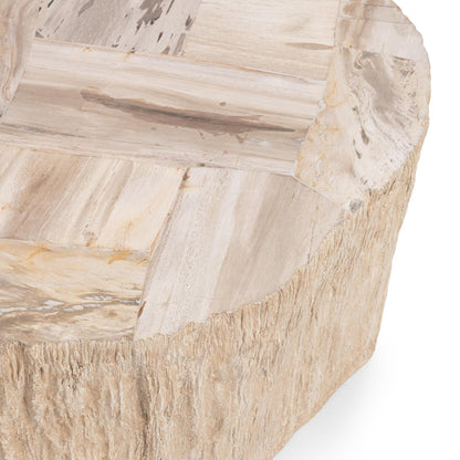 Coastal Birch Petrified Wood Coffee Table Messi Coffee Table Collection