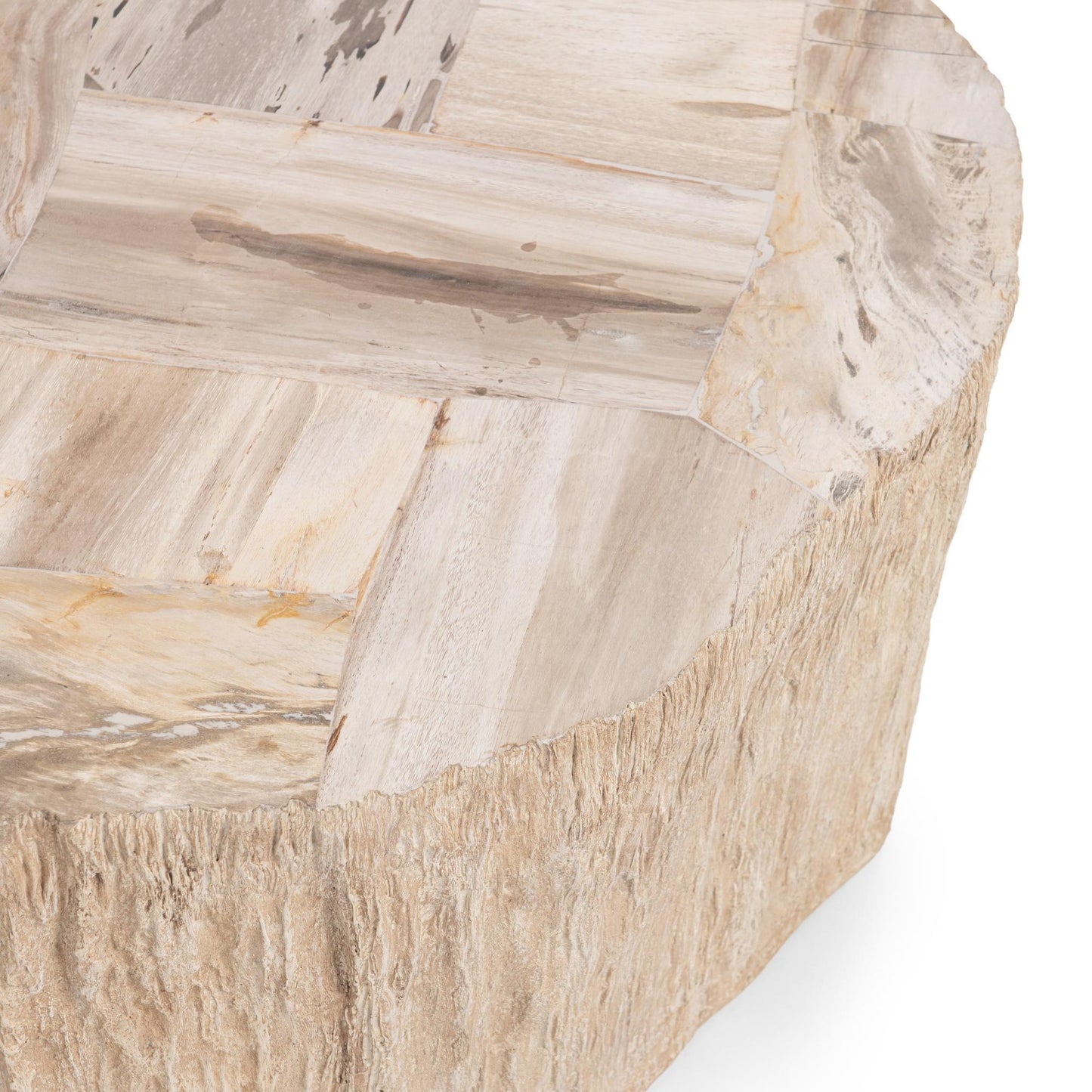 Coastal Birch Petrified Wood Coffee Table Messi Coffee Table Collection