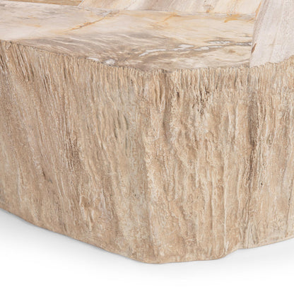 Coastal Birch Petrified Wood Coffee Table Messi Coffee Table Collection