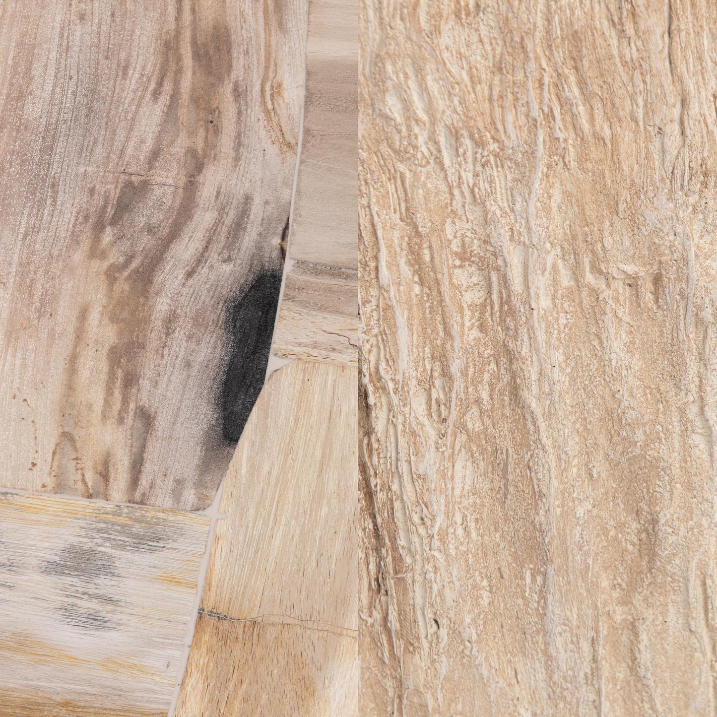 Coastal Birch Petrified Wood Coffee Table Messi Coffee Table Collection