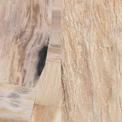 Coastal Birch Petrified Wood Coffee Table Messi Coffee Table Collection