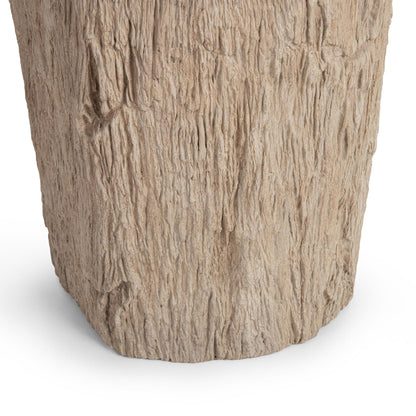 Coastal Birch Petrified Wood Accent & End Table Messi Table Collection