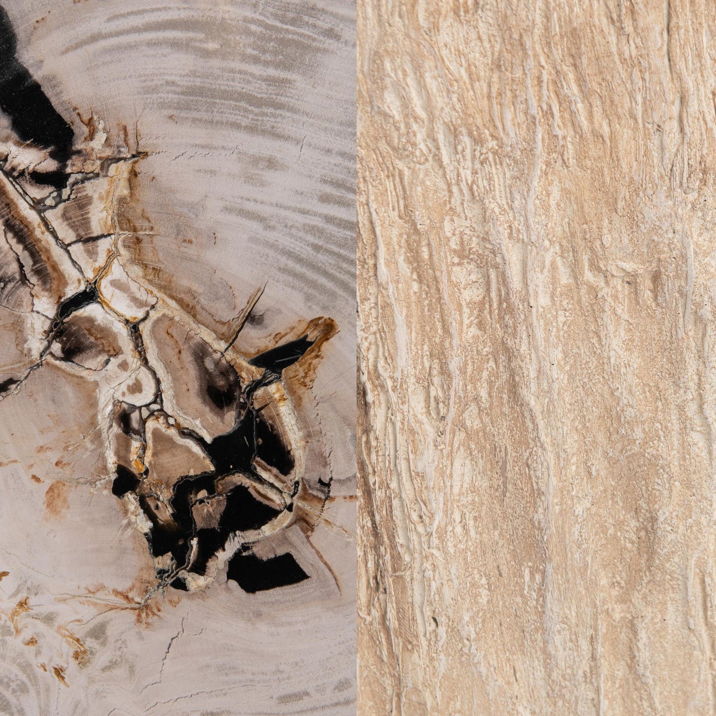 Coastal Birch Petrified Wood Accent & End Table Messi Table Collection