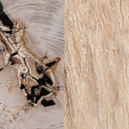 Coastal Birch Petrified Wood Accent & End Table Messi Table Collection