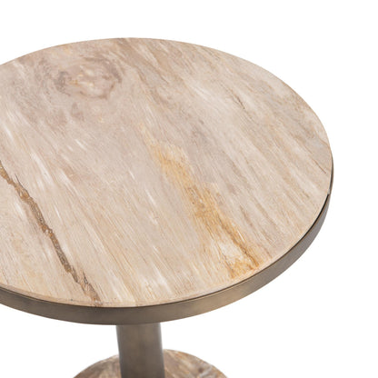 Natural Petrified Wood Accent & End Table Malta Accent Table Collection