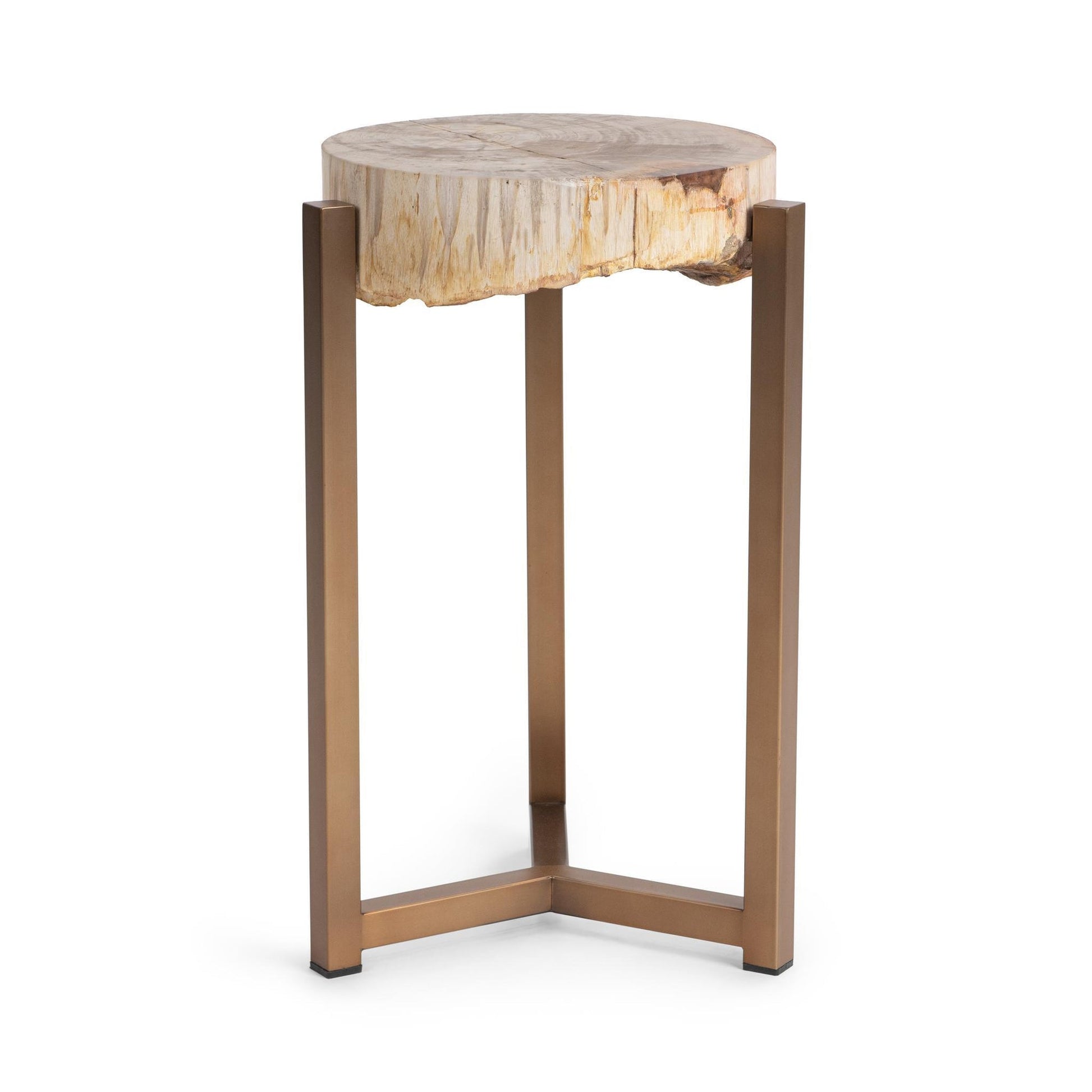 Natural Petrified Wood Accent & End Table Alliza Accent Table Collection