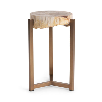 Natural Petrified Wood Accent & End Table Alliza Accent Table Collection