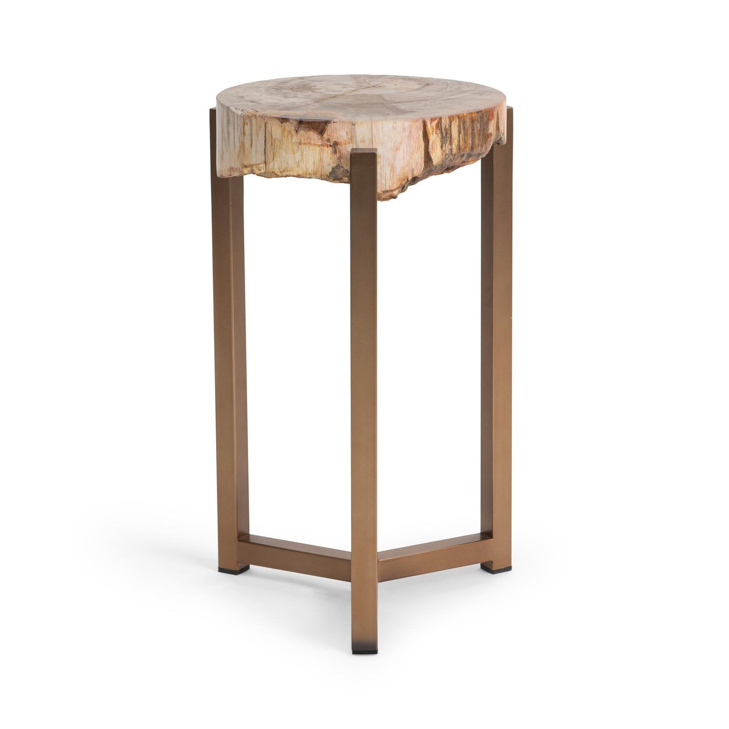Natural Petrified Wood Accent & End Table Alliza Accent Table Collection