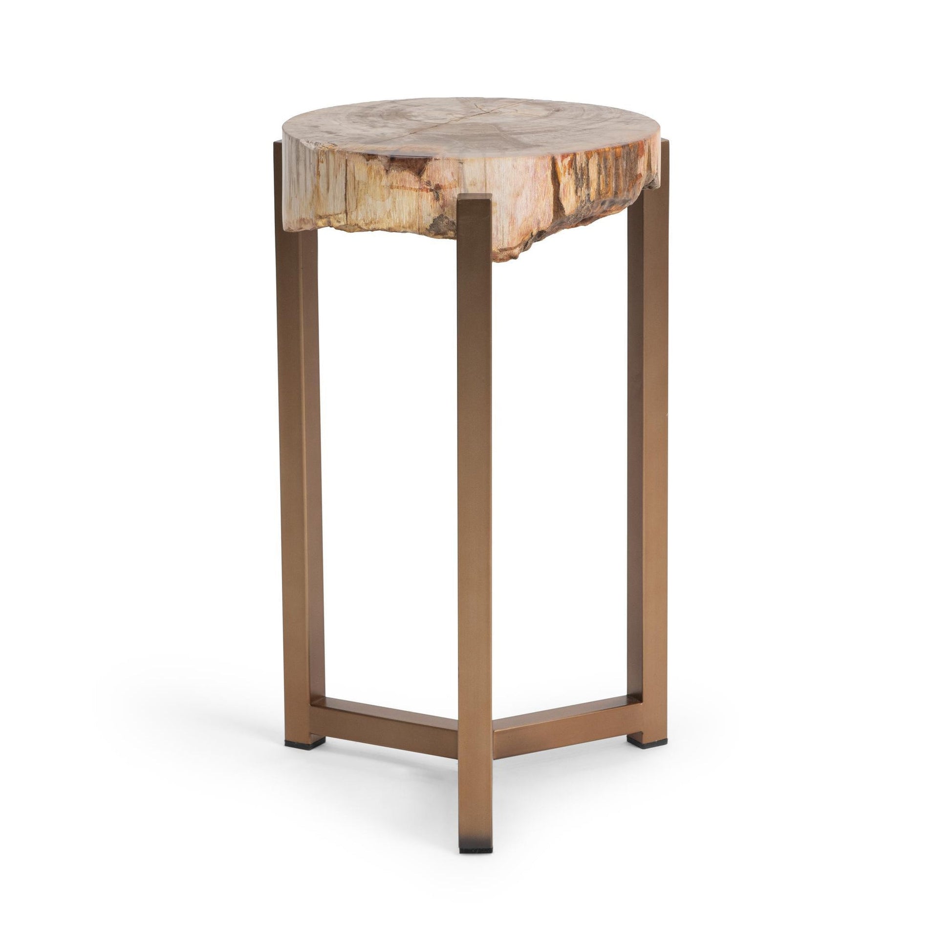 Natural Petrified Wood Accent & End Table Alliza Accent Table Collection