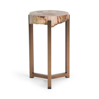 Natural Petrified Wood Accent & End Table Alliza Accent Table Collection