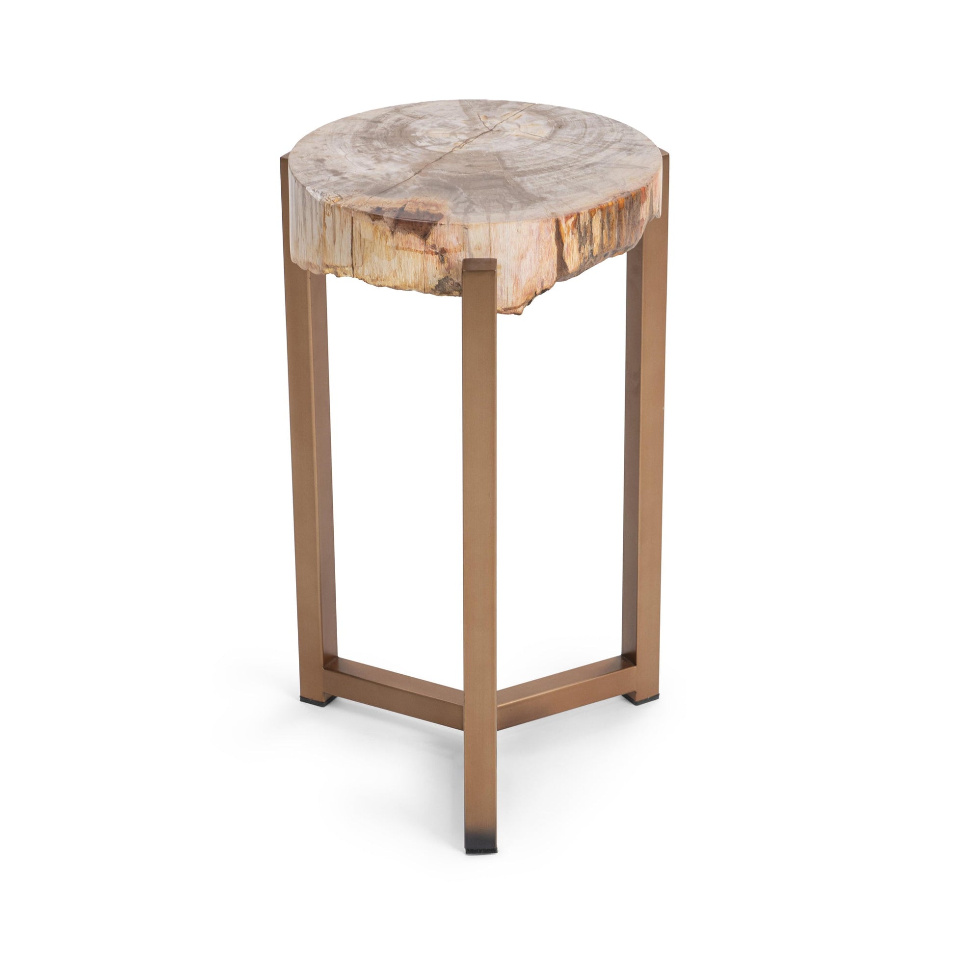 Natural Petrified Wood Accent & End Table Alliza Accent Table Collection