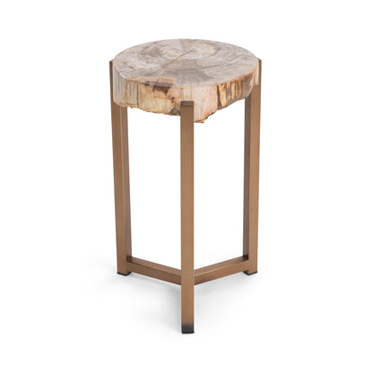 Natural Petrified Wood Accent & End Table Alliza Accent Table Collection
