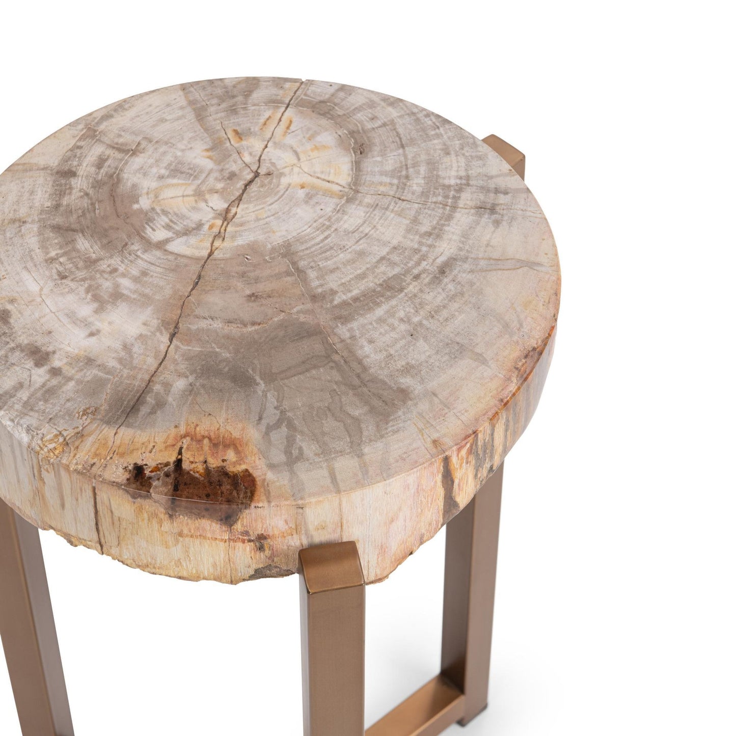 Natural Petrified Wood Accent & End Table Alliza Accent Table Collection