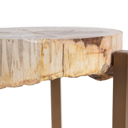 Natural Petrified Wood Accent & End Table Alliza Accent Table Collection