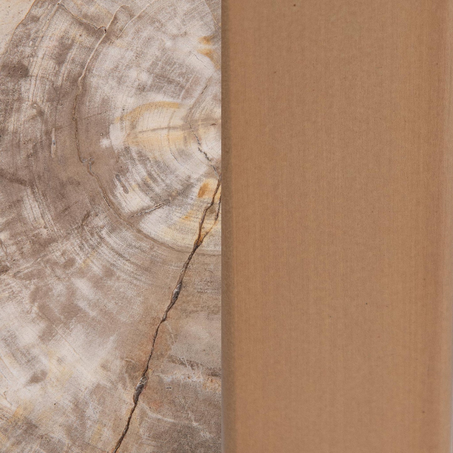 Natural Petrified Wood Accent & End Table Alliza Accent Table Collection