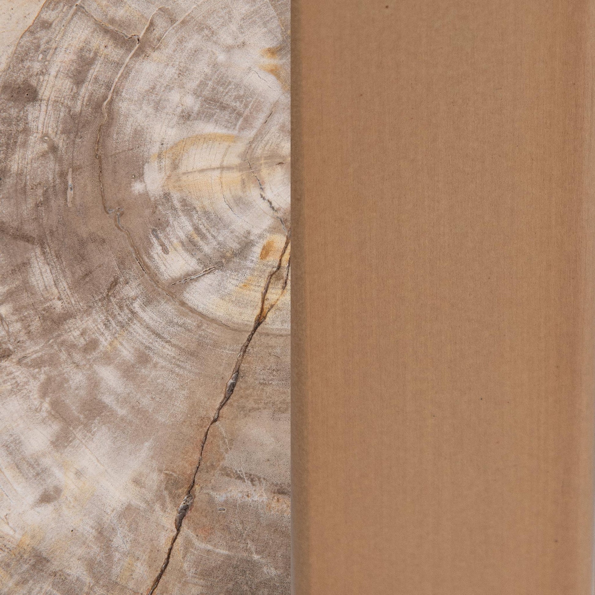 Natural Petrified Wood Accent & End Table Alliza Accent Table Collection