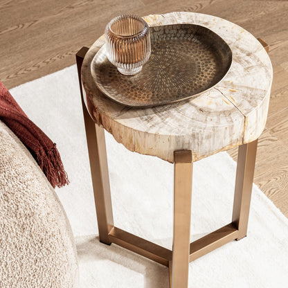 Natural Petrified Wood Accent & End Table Alliza Accent Table Collection