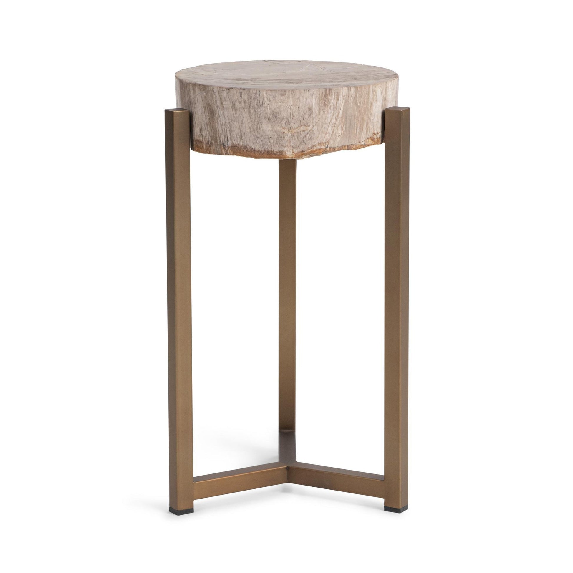 Natural Petrified Wood Accent & End Table Alliza Accent Table Collection