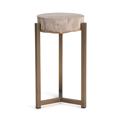 Natural Petrified Wood Accent & End Table Alliza Accent Table Collection