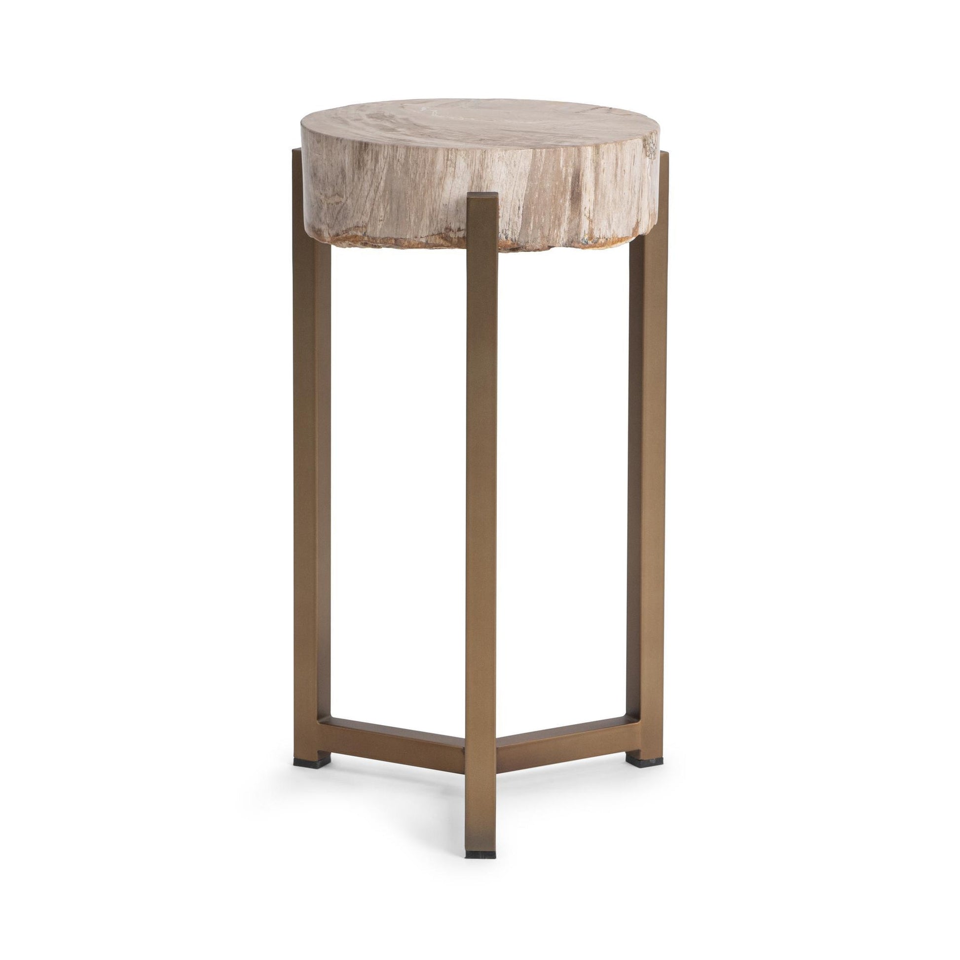Natural Petrified Wood Accent & End Table Alliza Accent Table Collection