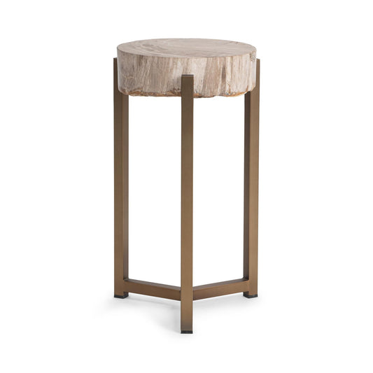 Natural Petrified Wood Accent & End Table Alliza Accent Table Collection