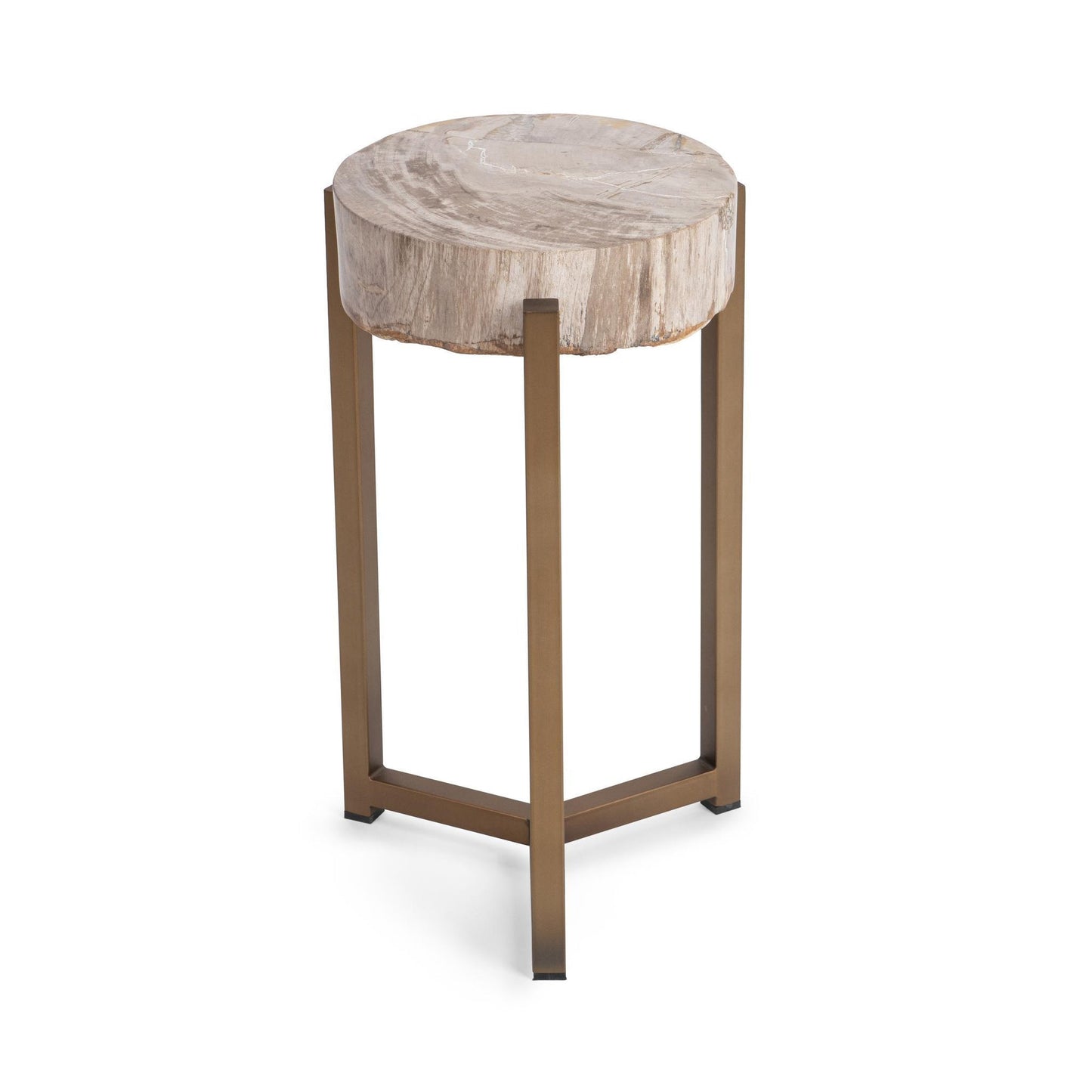 Natural Petrified Wood Accent & End Table Alliza Accent Table Collection