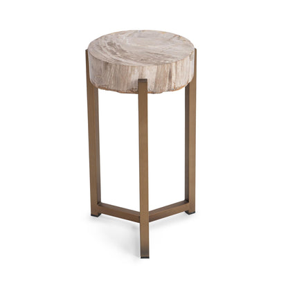 Natural Petrified Wood Accent & End Table Alliza Accent Table Collection